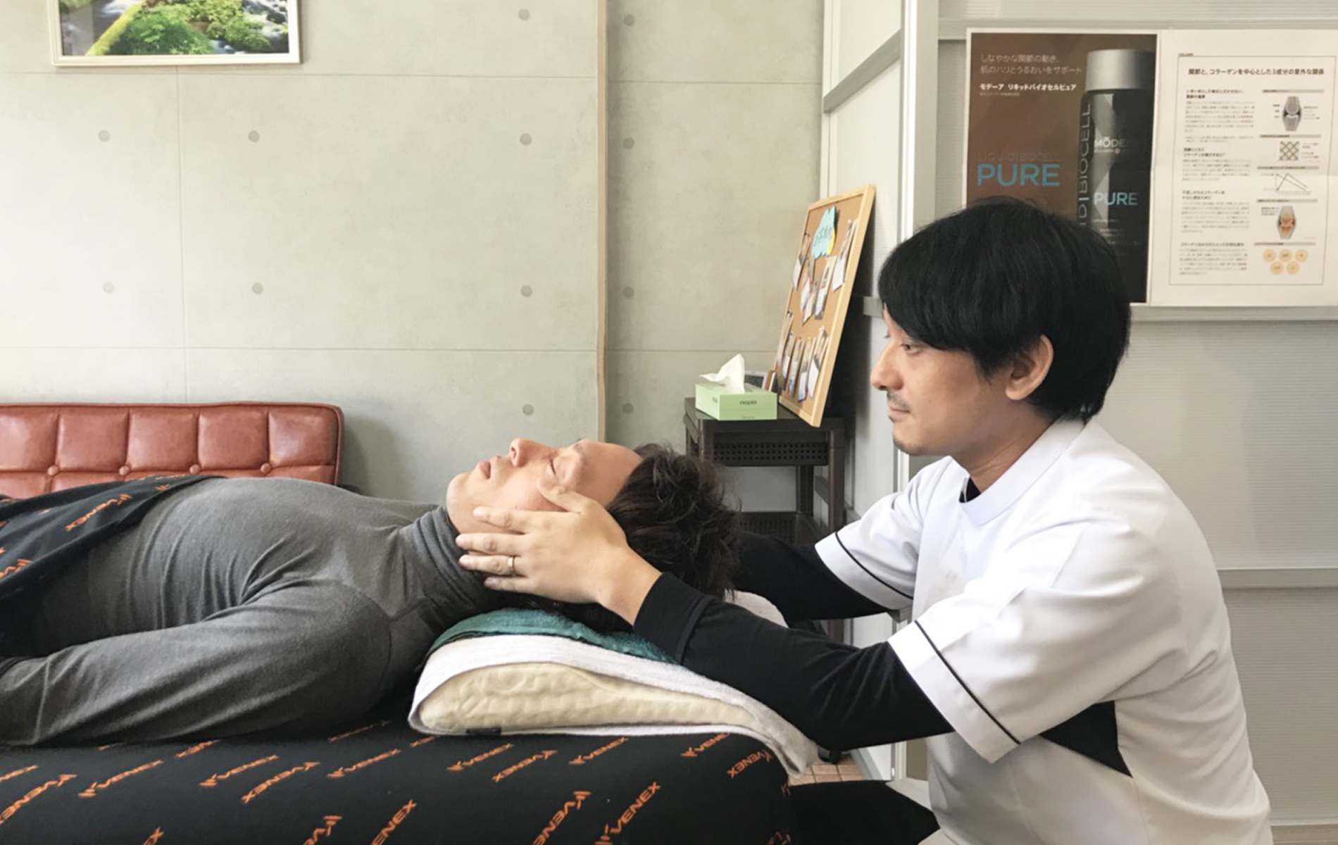 Free Bootstrap Template by ProBootstrap.com